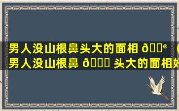 男人没山根鼻头大的面相 💮 （男人没山根鼻 🐕 头大的面相好不好）